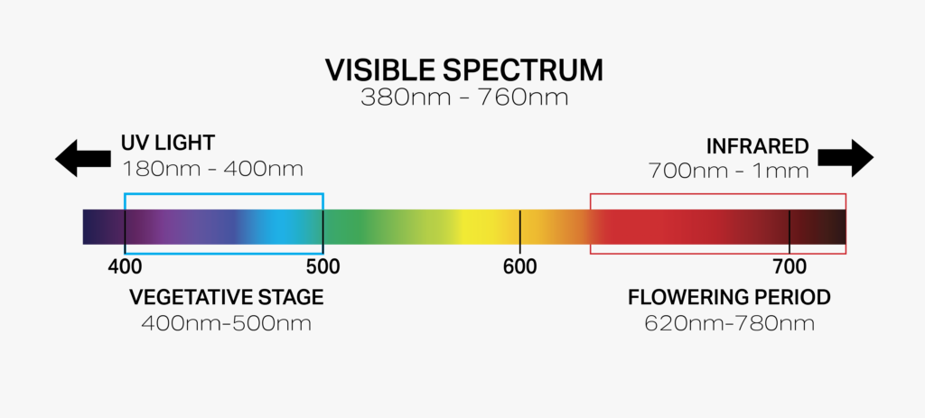 i-spectrum